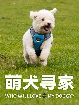 萌犬寻家 第一季