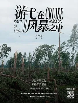 游弋在风暴之中
