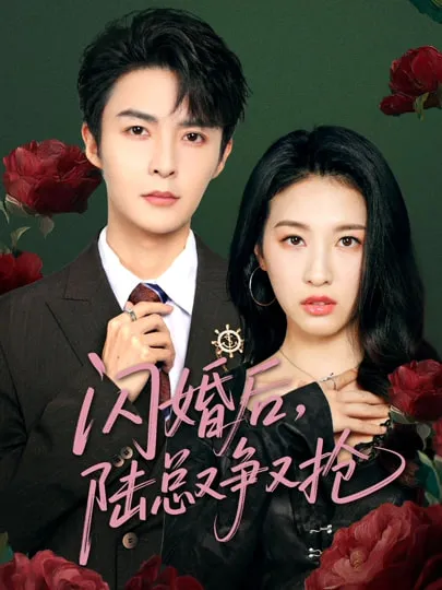 闪婚后陆总又争又抢