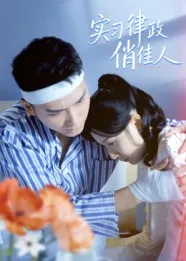 实习律政俏佳人