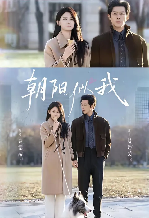 《朝阳似我》剧情引人入胜