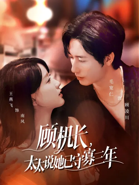 情感纠葛《顾机长，太太说她已守寡三年》剧情揭秘