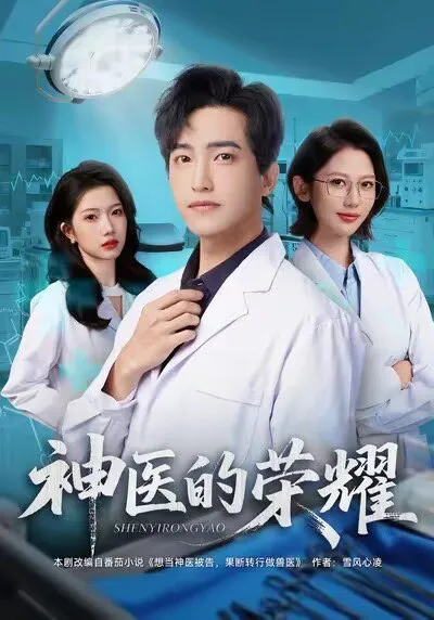 神医如何闪耀：《神医的荣耀》剧情揭秘