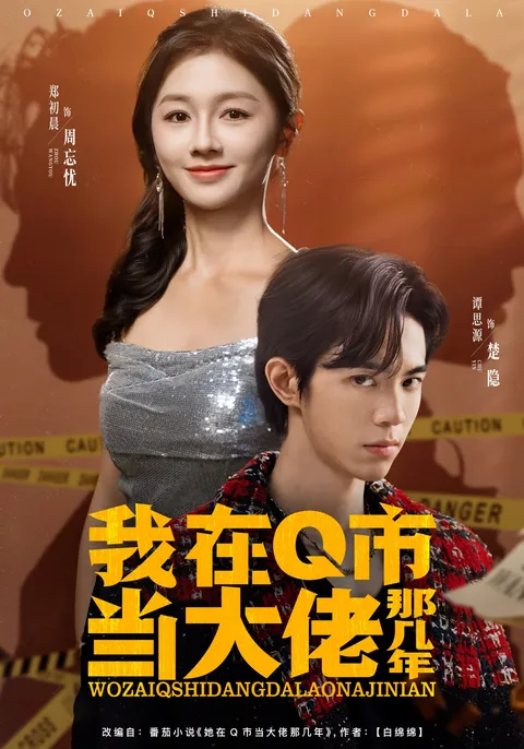 我成为Q市大佬的那些年