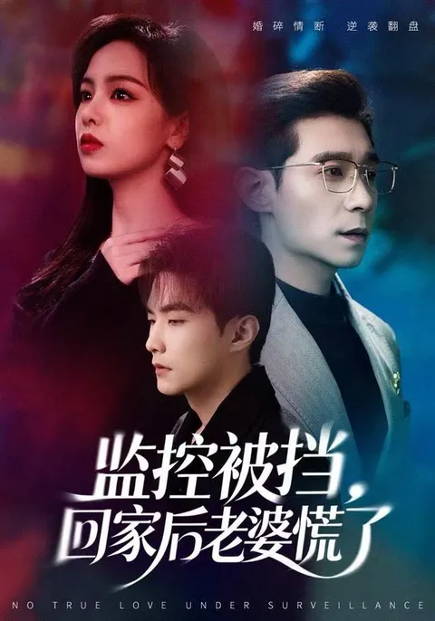 监控被挡的秘密 - 爽文短剧