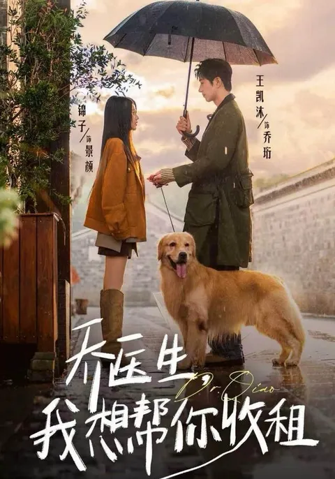 《乔医生，我想帮你收租》剧情亮点