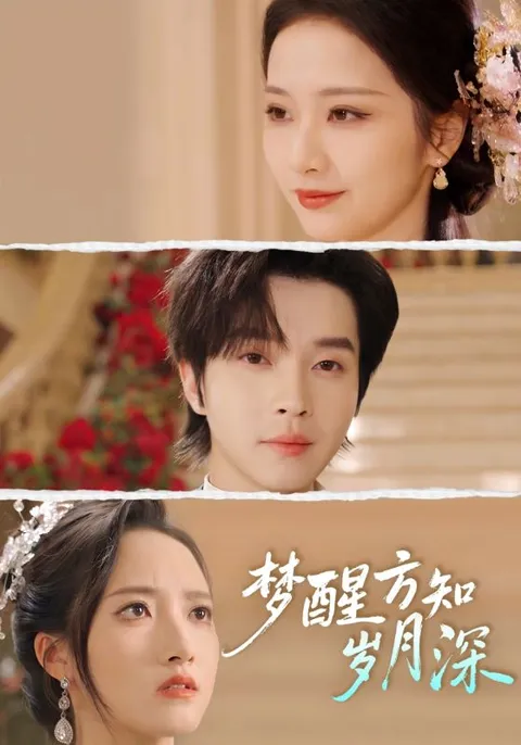 《梦醒方知岁月深》剧情揭秘