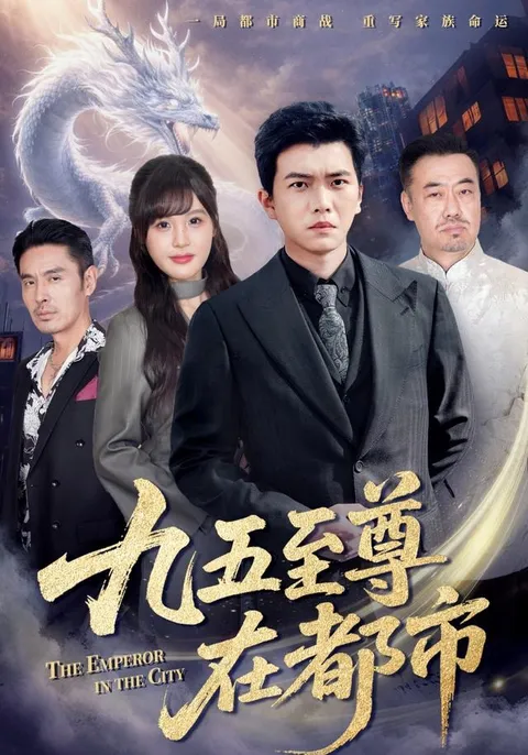 城市中的不凡人物《九五至尊在都市》