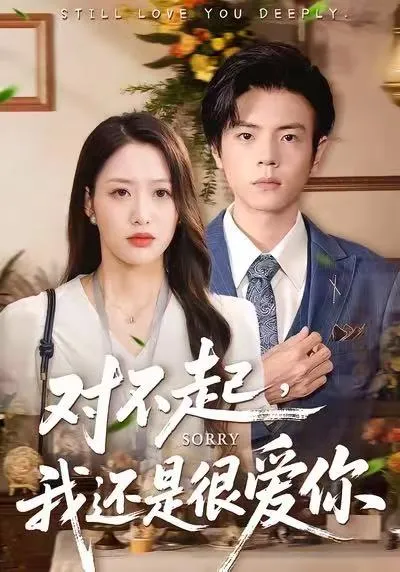 浪漫情感剧《对不起，我还是很爱你》