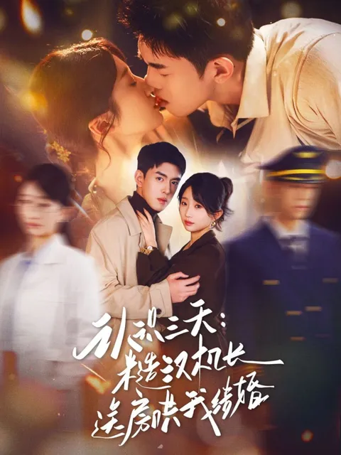 意想不到的求婚故事：《认识三天糙汉机长送房哄我结婚》