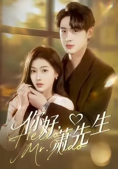 看尽《你好，萧先生》剧情