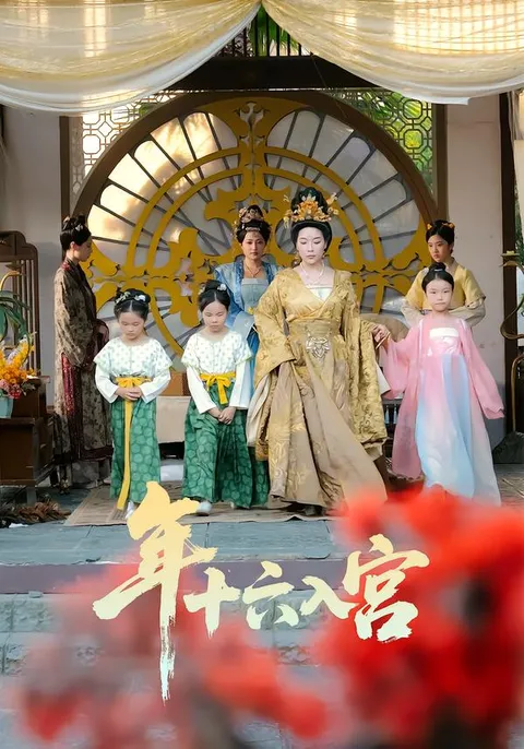 宫廷争斗引人入胜——《年十六入宫》
