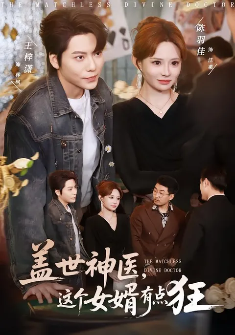 《盖世神医，这个女婿有点狂》剧情揭秘