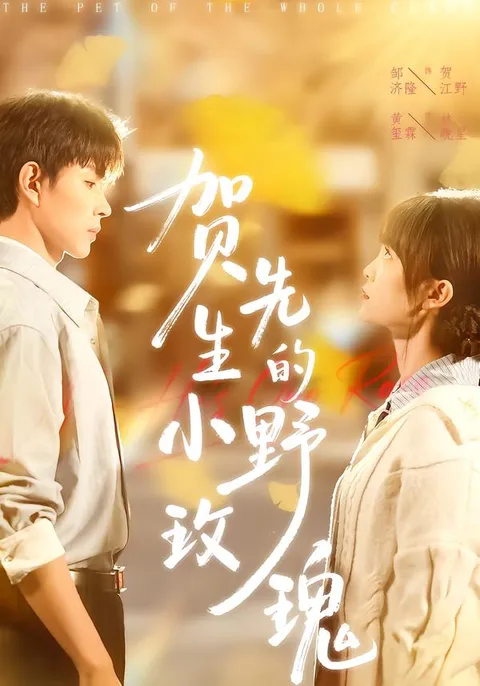 《贺先生的小野玫瑰》剧情揭秘