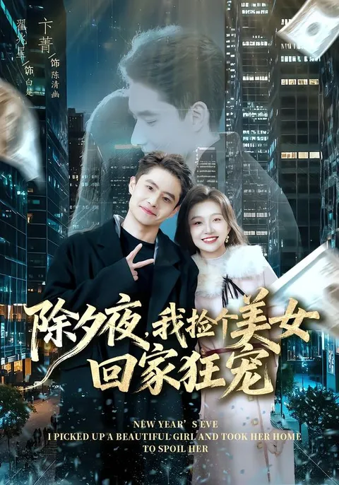 除夕夜惊喜 - 我捡了个美女回家
