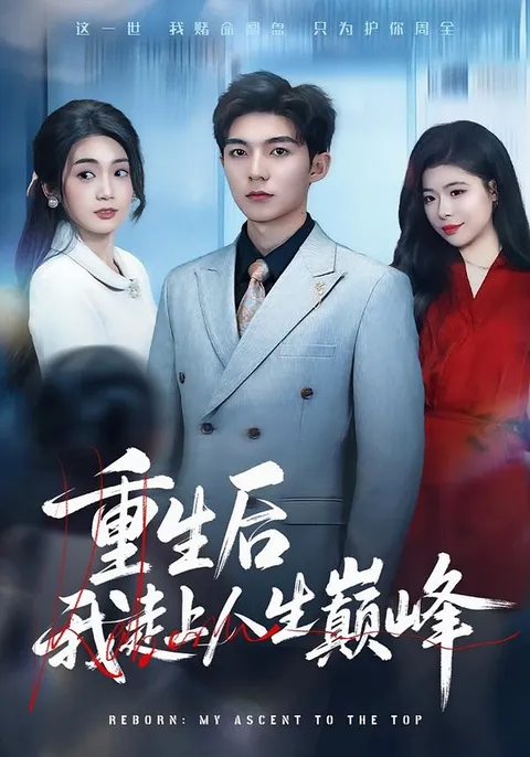 《重生后我走上人生巅峰》：主角的逆袭之旅