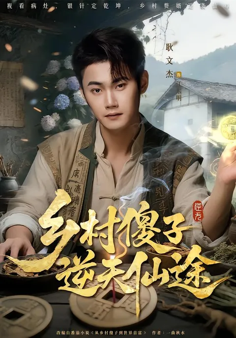 《乡村傻子逆天仙途》剧情简介