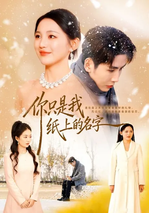 《你只是我纸上的名字》剧情简介