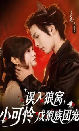 剧情精彩：误入狼窝，小可怜成狼族团宠