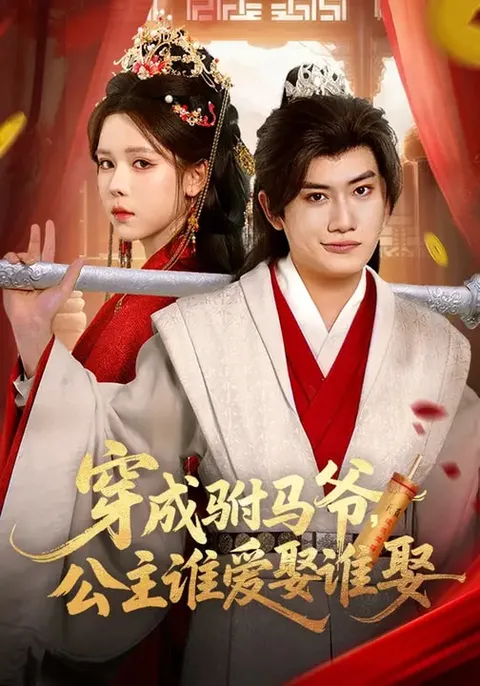 穿成驸马爷，公主谁爱娶谁娶：剧情看点大揭秘