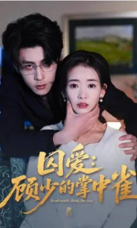 囚爱：顾少的掌中雀 - 爱情短剧剧情介绍