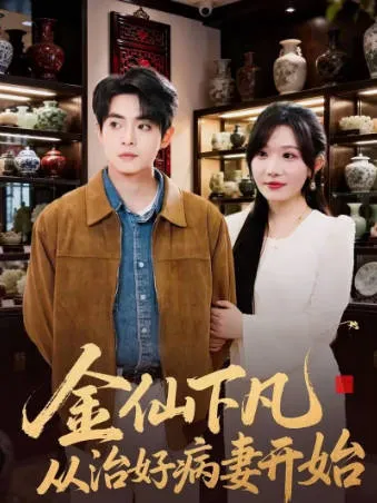 从治好病妻切入的爽感设定：《金仙下凡从治好病妻开始》