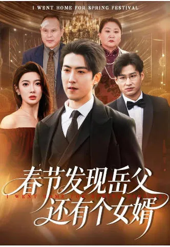 春节发现岳父还有个女婿短剧故事设定版