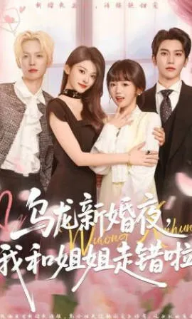 乌龙新婚夜，我和姐姐走错啦短剧简介